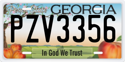 GA license plate PZV3356