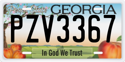 GA license plate PZV3367