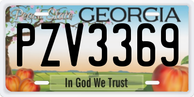 GA license plate PZV3369