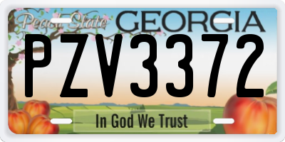 GA license plate PZV3372