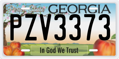 GA license plate PZV3373