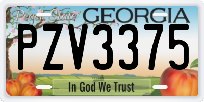 GA license plate PZV3375
