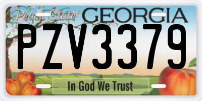 GA license plate PZV3379