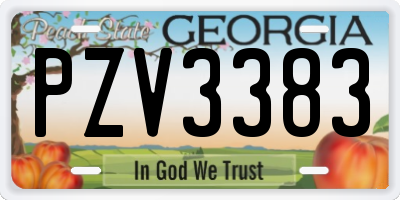 GA license plate PZV3383