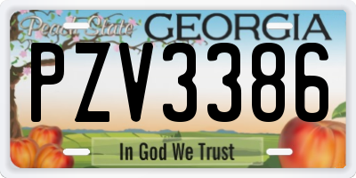 GA license plate PZV3386
