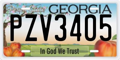 GA license plate PZV3405