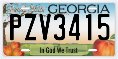 GA license plate PZV3415