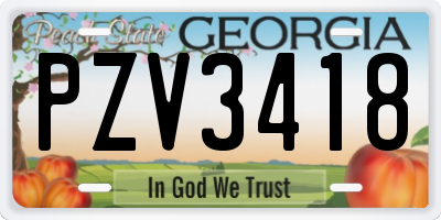 GA license plate PZV3418