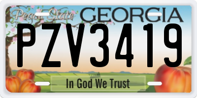 GA license plate PZV3419