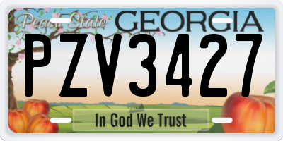 GA license plate PZV3427