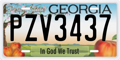 GA license plate PZV3437
