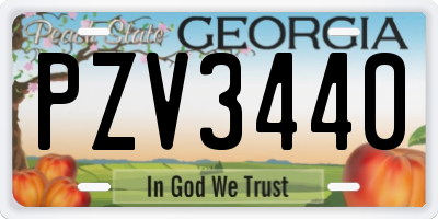 GA license plate PZV3440