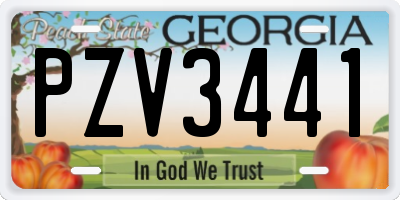GA license plate PZV3441