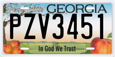 GA license plate PZV3451