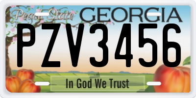 GA license plate PZV3456