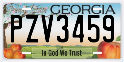 GA license plate PZV3459