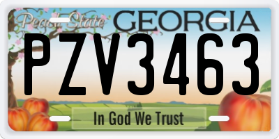 GA license plate PZV3463
