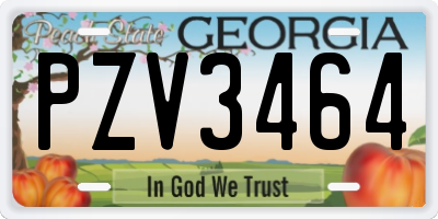 GA license plate PZV3464