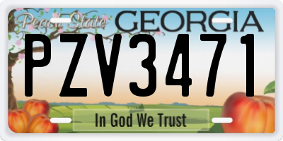 GA license plate PZV3471