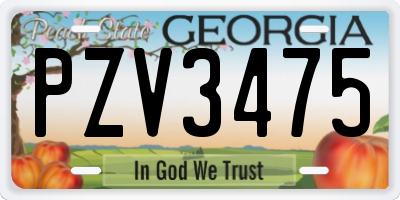 GA license plate PZV3475