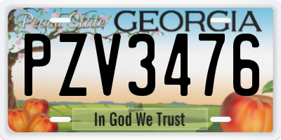 GA license plate PZV3476