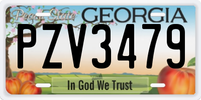 GA license plate PZV3479