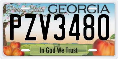 GA license plate PZV3480