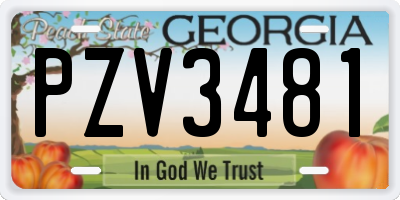 GA license plate PZV3481