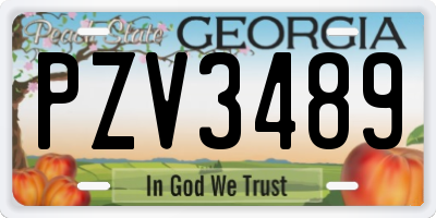 GA license plate PZV3489