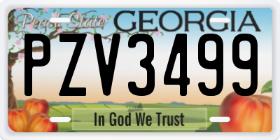 GA license plate PZV3499