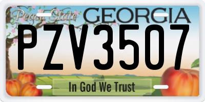 GA license plate PZV3507