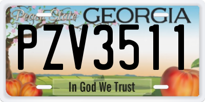 GA license plate PZV3511