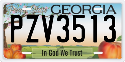 GA license plate PZV3513