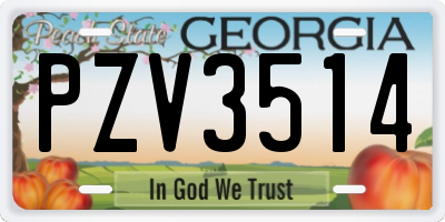 GA license plate PZV3514