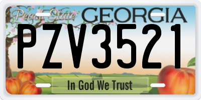 GA license plate PZV3521