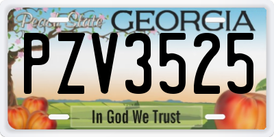 GA license plate PZV3525