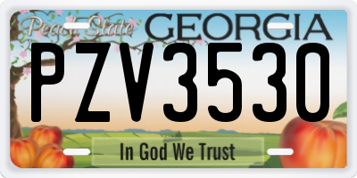 GA license plate PZV3530