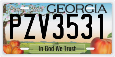 GA license plate PZV3531