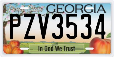 GA license plate PZV3534