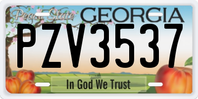 GA license plate PZV3537