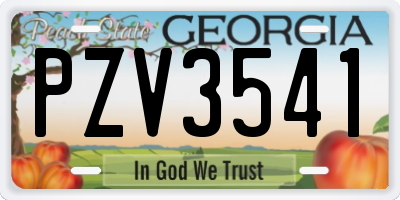 GA license plate PZV3541