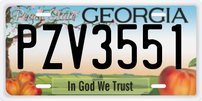 GA license plate PZV3551