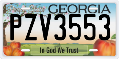 GA license plate PZV3553
