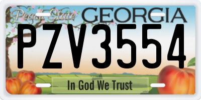 GA license plate PZV3554