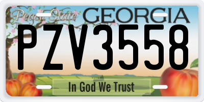 GA license plate PZV3558
