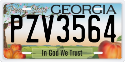 GA license plate PZV3564