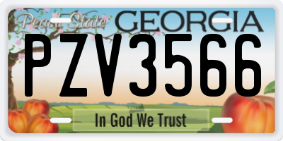 GA license plate PZV3566