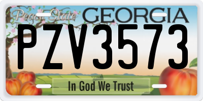 GA license plate PZV3573