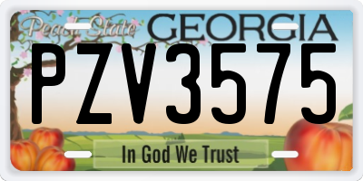 GA license plate PZV3575