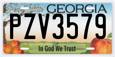 GA license plate PZV3579